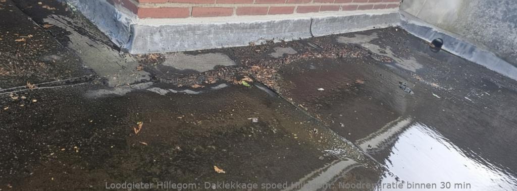 Daklekkage Spoed Hillegom