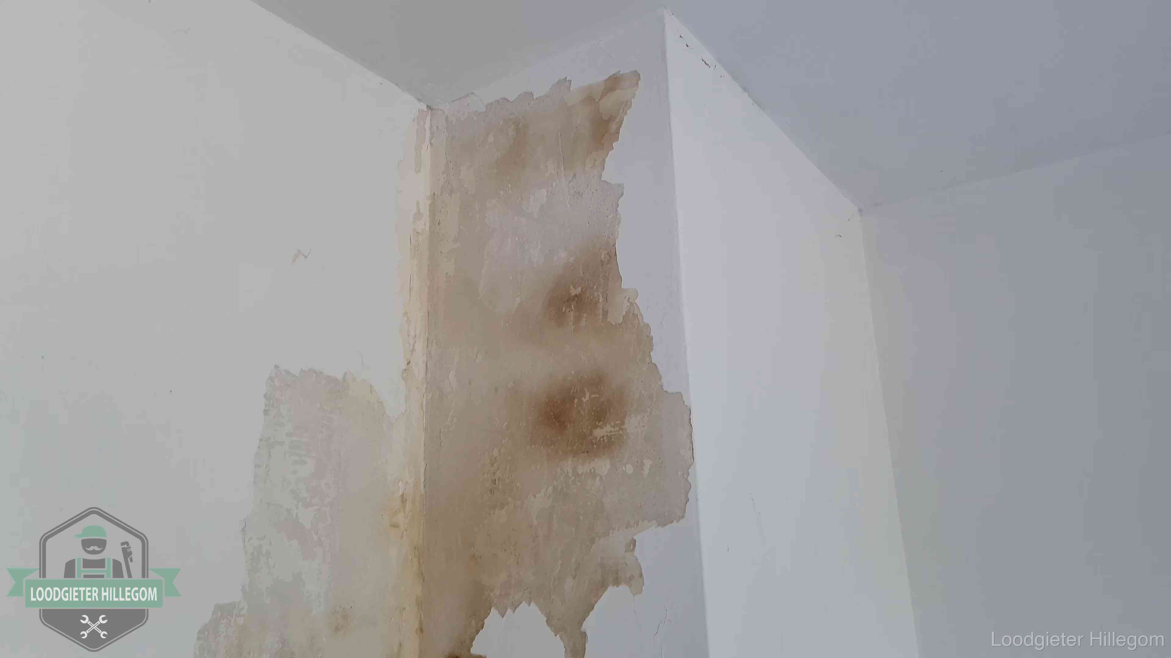 Bruine vochtkringen en afbladderend stucwerk op een binnenmuur in Hillegom, een eerste teken van daklekkage