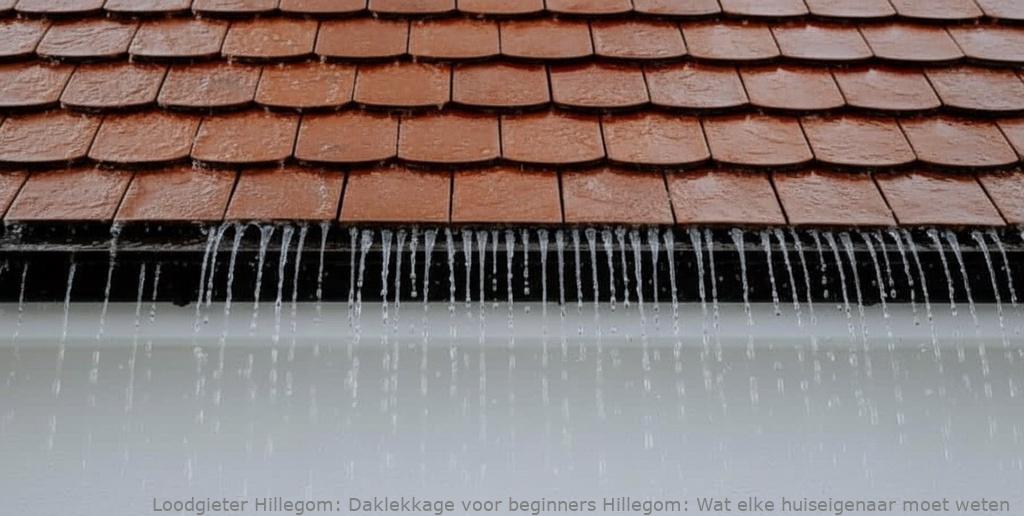 Daklekkage Voor Beginners Hillegom