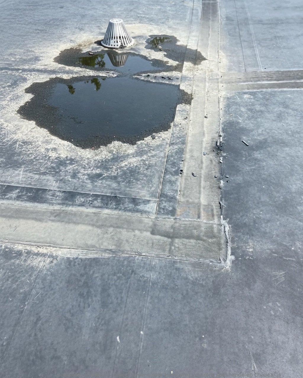 Daklekkage Winter Hillegom