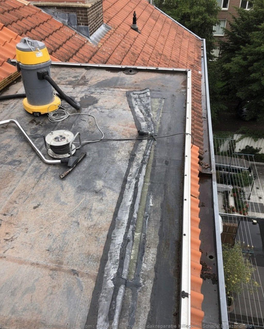 Gevolgen Vertraagde Dakreparatie Hillegom