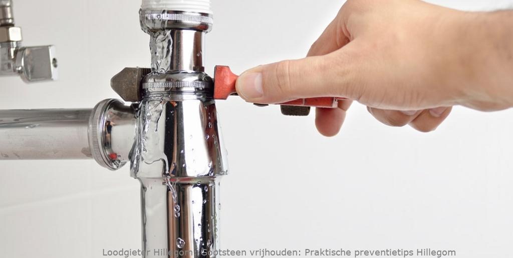 Gootsteen Preventietips Verstopping Hillegom