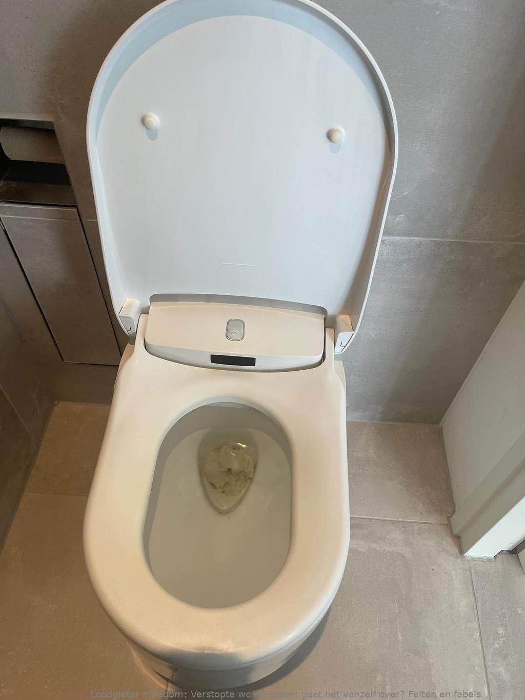 Herken Verstopte Wc Hillegom