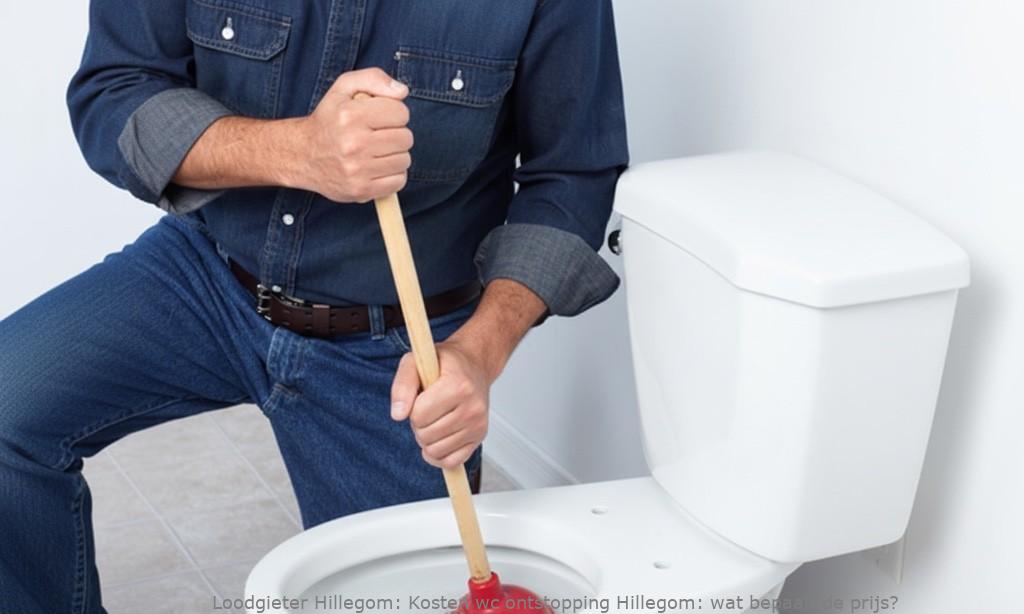 Kosten Wc Ontstopping Hillegom