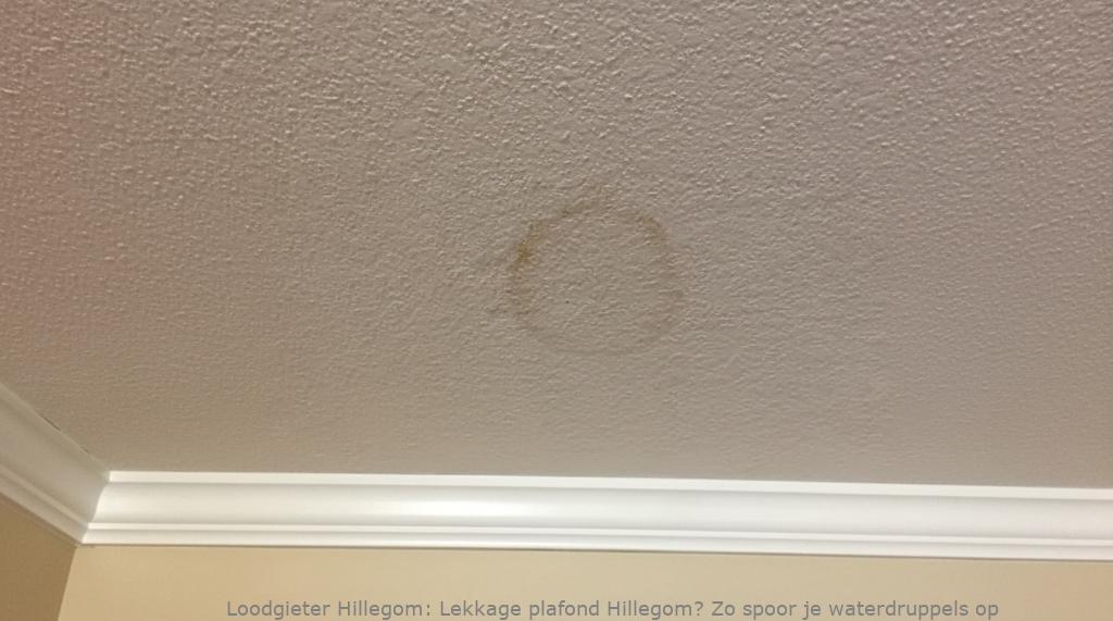 Lekkage Plafond Hillegom