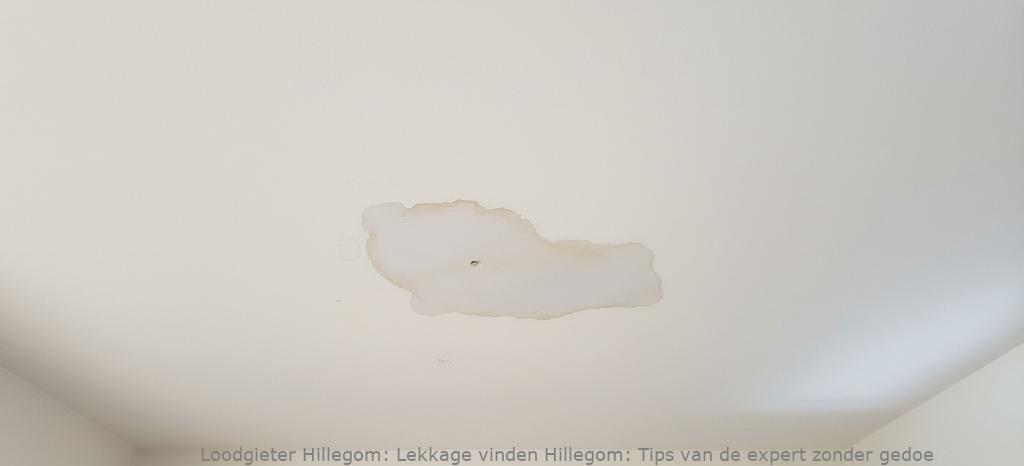 Lekkage Vinden Hillegom
