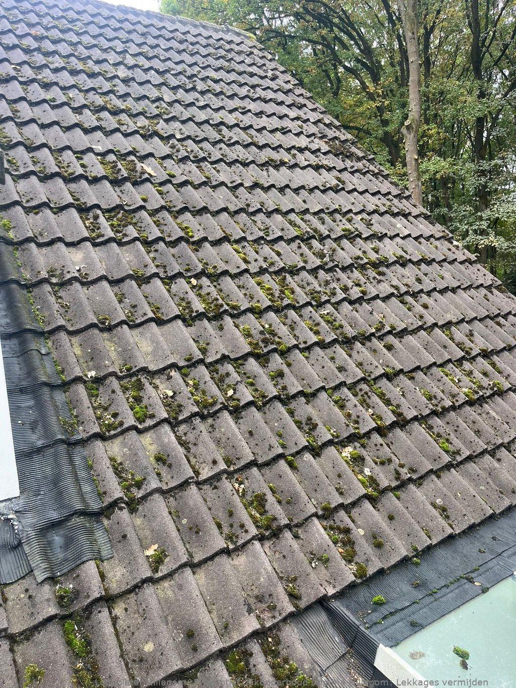Preventief Dakonderhoud Schema Hillegom