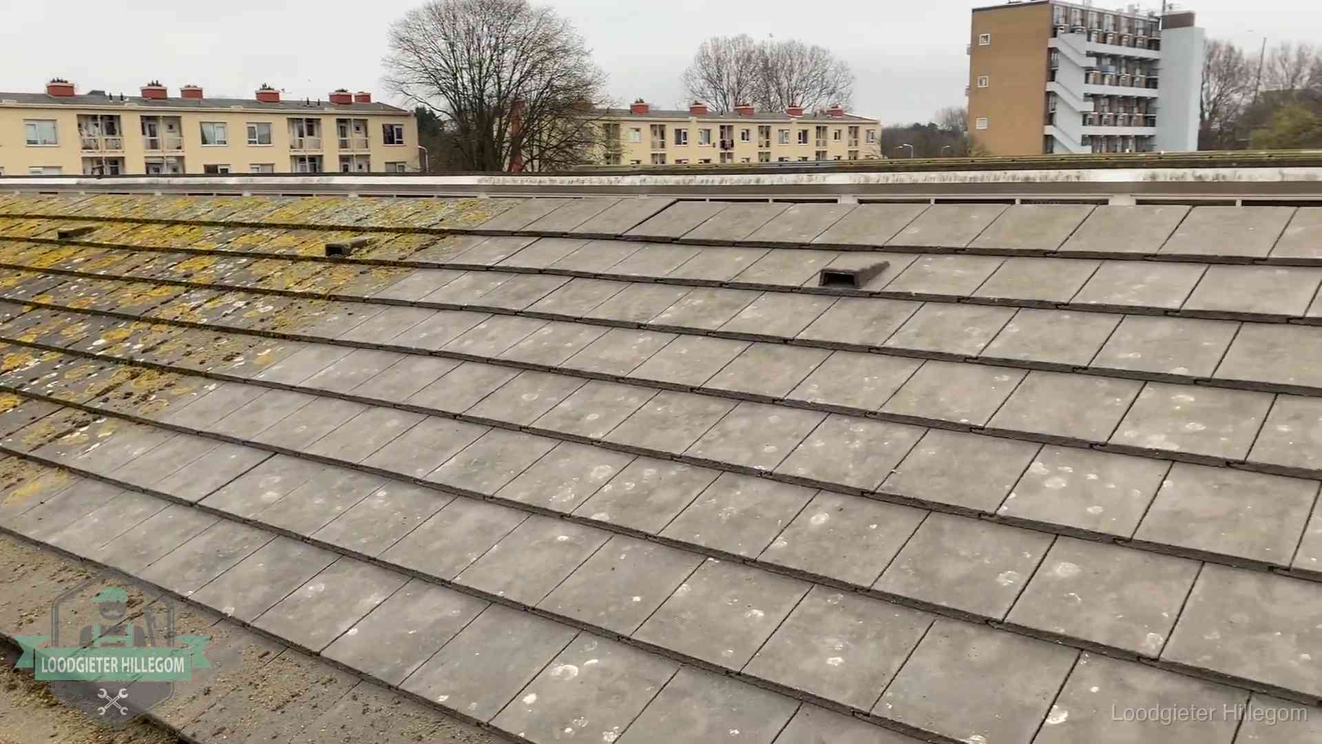 Schuin dak met betonpannen vol mos in Hillegom, een risico op lekkage bij de pannen