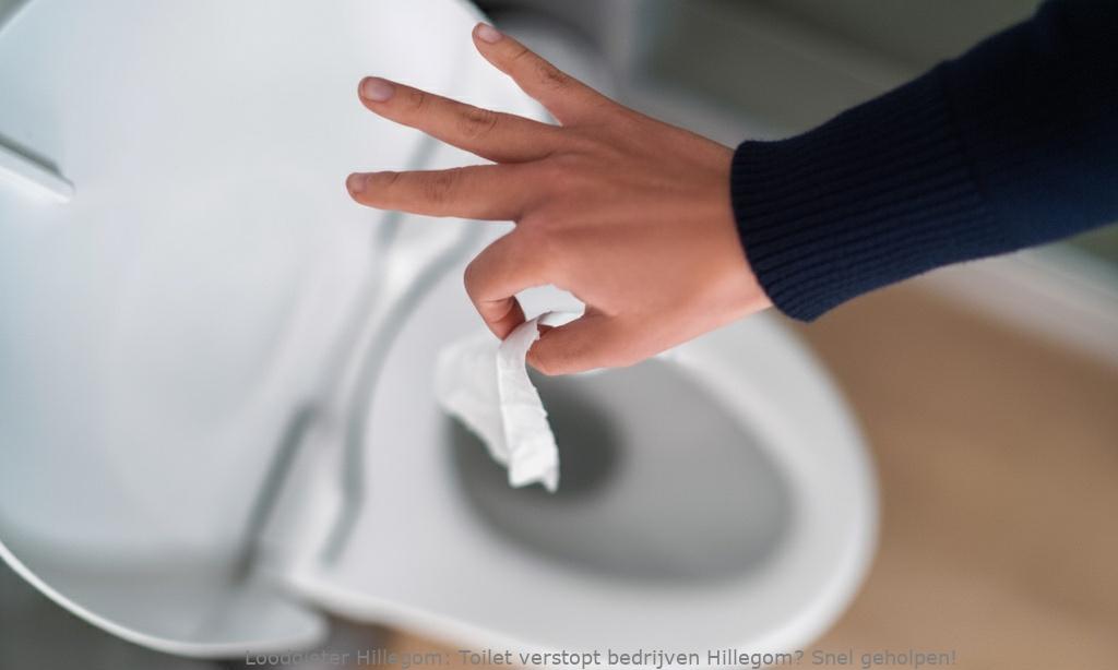 Toilet Verstopt Bedrijven Hillegom
