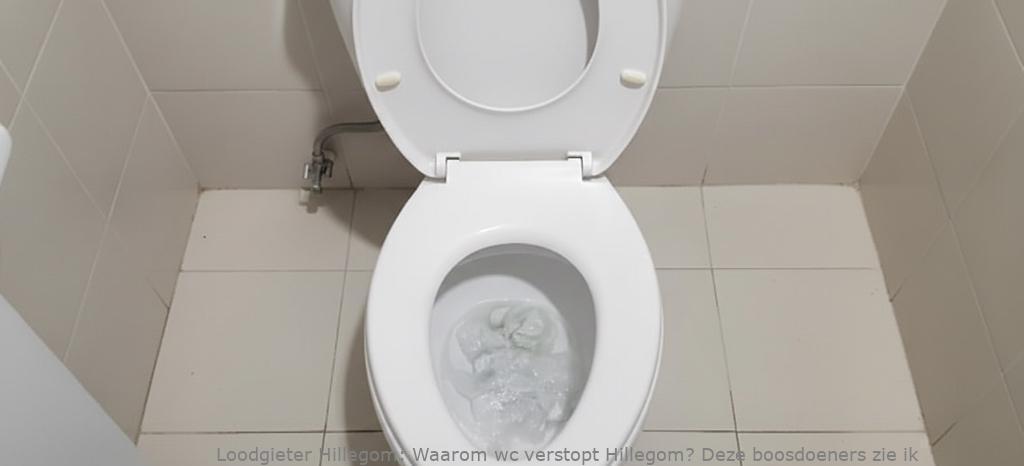 Waarom Wc Verstopt Hillegom