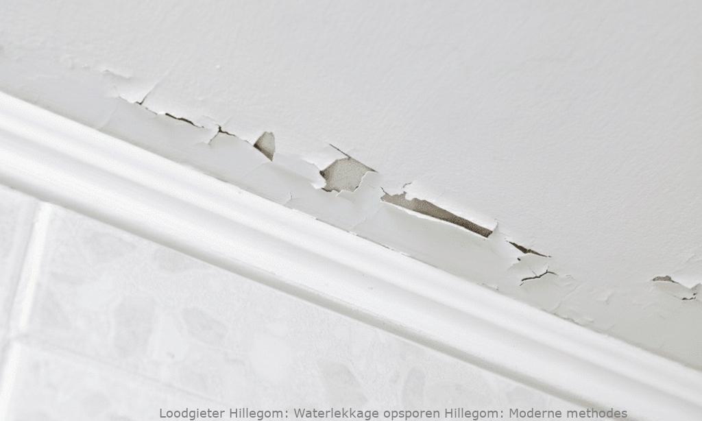 Waterlekkage Opsporen Hillegom