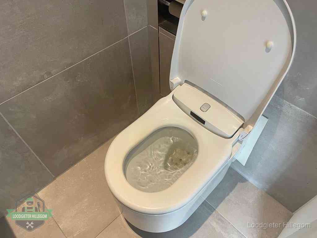Wc Verstopt In Hillegom