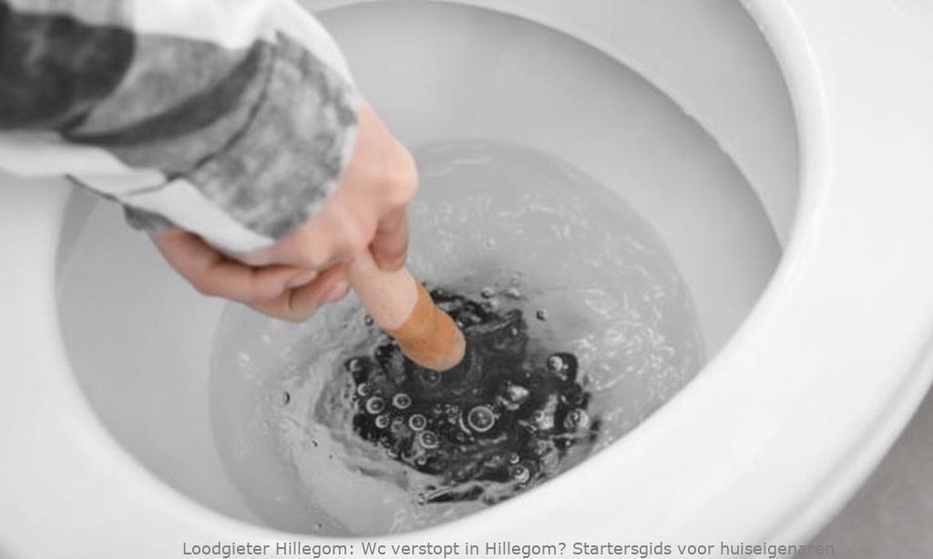 Wc Verstopt Startersgids Hillegom